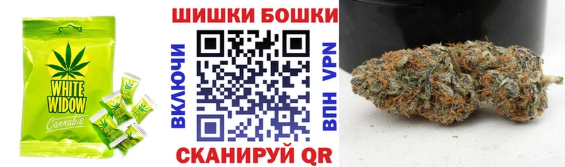Купить закладки  Лаишево  Cannafood конопля 