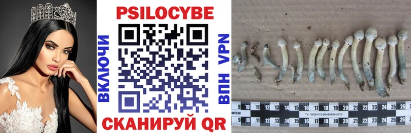 Псилоцибиновые грибы Cubensis  Купить где  Лаишево 